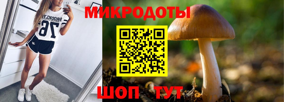 Серов  Псилоцибиновые грибы ЛСД  как найти закладки  Вход с VPN 